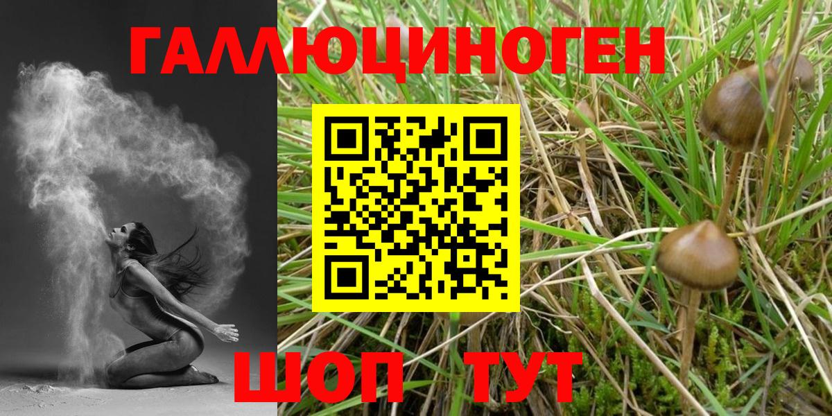 Галлюциногенные грибы GOLDEN TEACHER  Вход с VPN  Ливны 