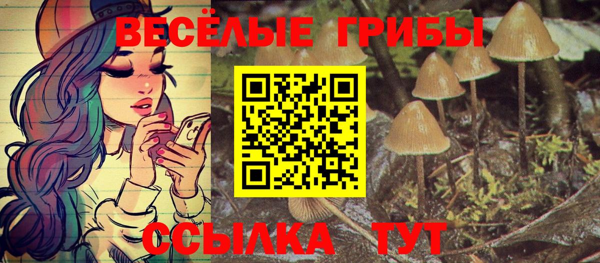 Псилоцибиновые грибы Psilocybine cubensis Ливны